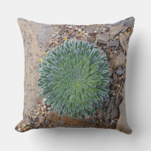 Coussin Succulent plante du désert