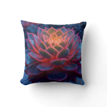 Succulent pourpre au clair crépusculaire - Beauté