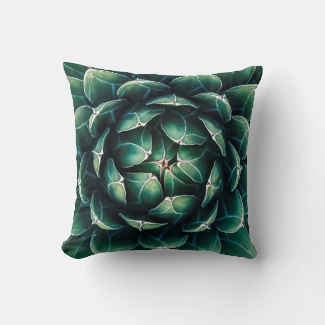 Coussin Succulent vert et blanc (Recto)