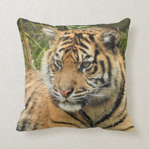 Coussin Sumatran Tiger Club