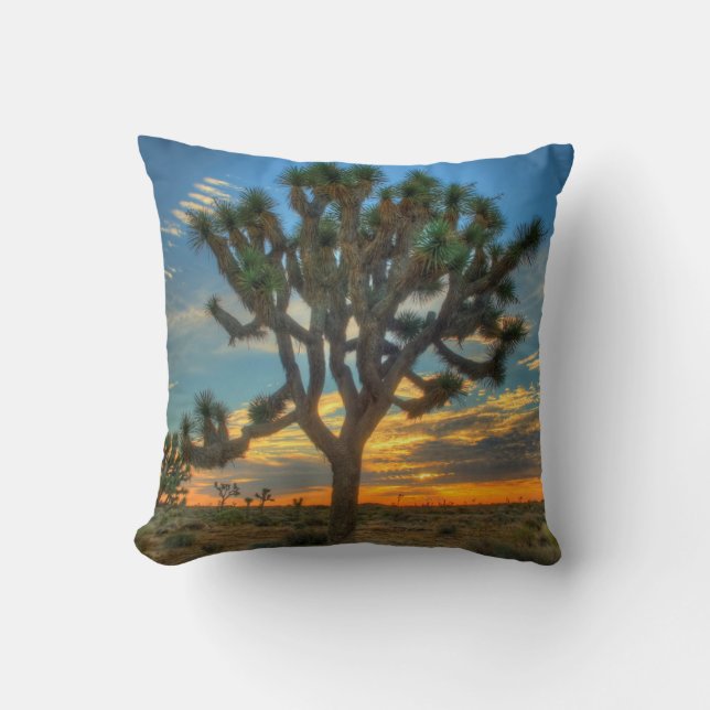 Coussin Sunrise Du Parc National Joshua Tree (Recto)