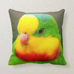 Coussin Superbe perroquet