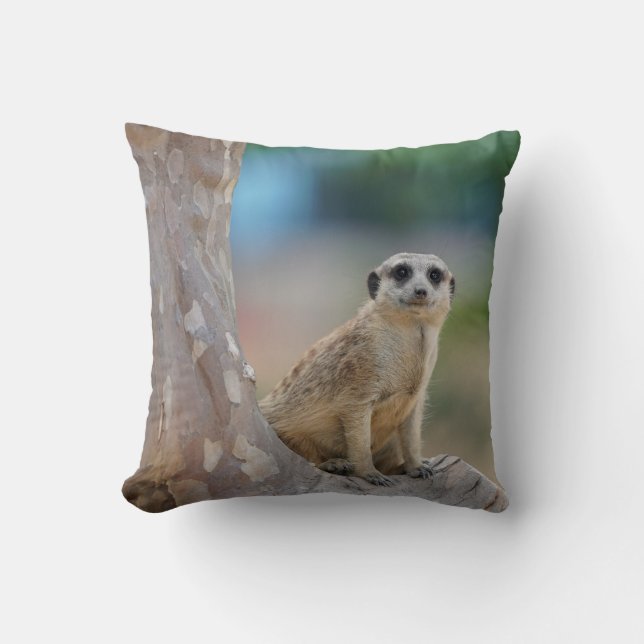 Coussin Suricate mignon assis sur un arbre (Recto)