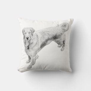 Coussin Surveillance de la récolte par le feu
