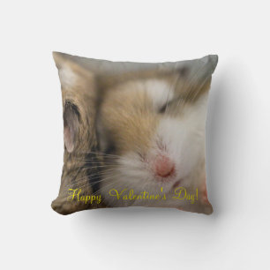 Coussin Survolez la Saint Valentin de Bob