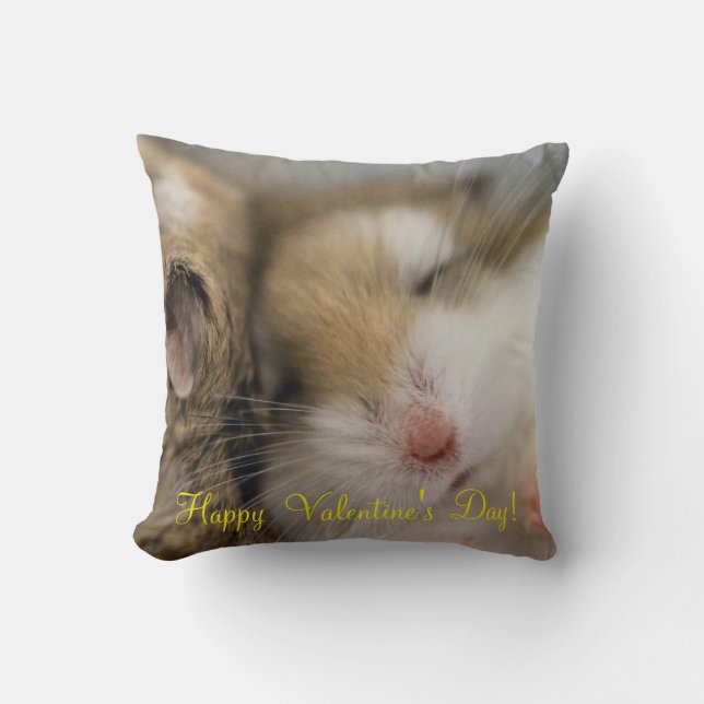 Coussin Survolez la Saint Valentin de Bob (Recto)