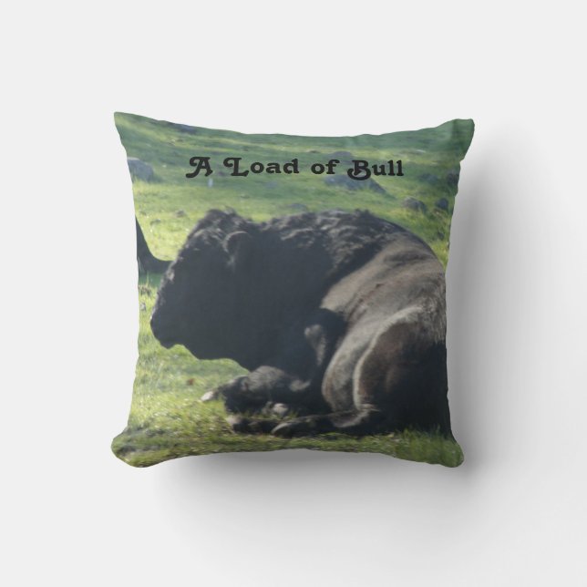 Coussin Sutter Buttes Mountain Range the Bull photo (Recto)