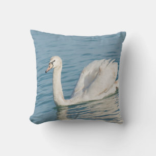 Coussin Swan