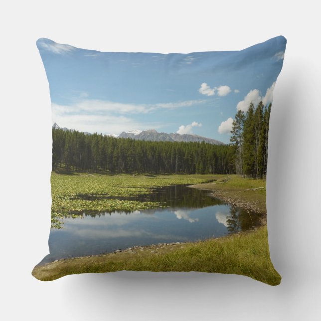 Coussin Swan Lake I au Parc national de Grand Teton (Recto)