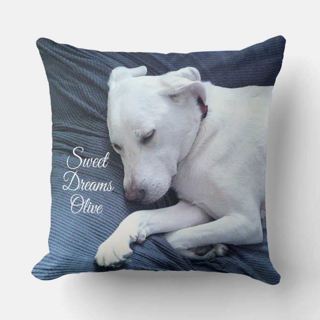 Coussin Sweams Dreams Cute White Labrador Retriever Mix Ch (Recto)