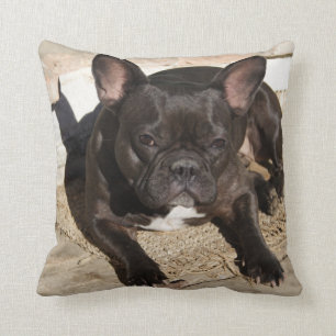 Coussin Sweet Grouchy French Bulldog
