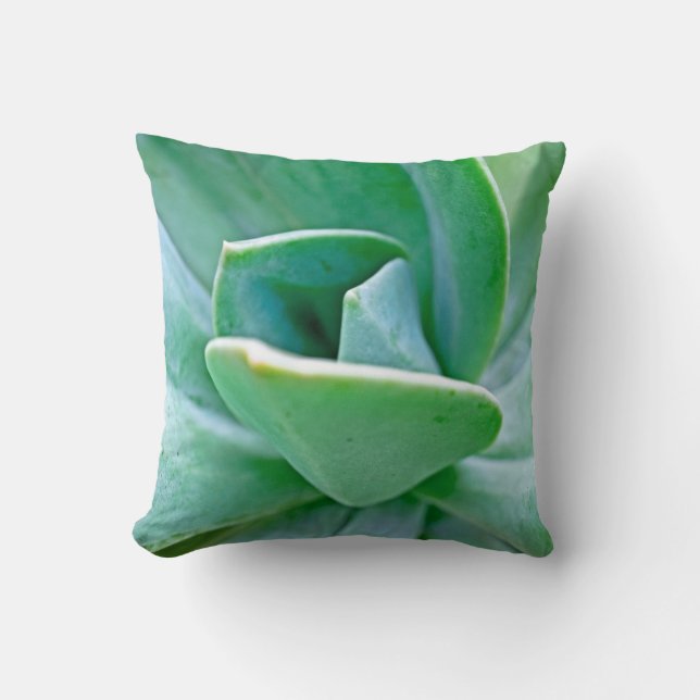 Coussin Swirl Succulent (Recto)
