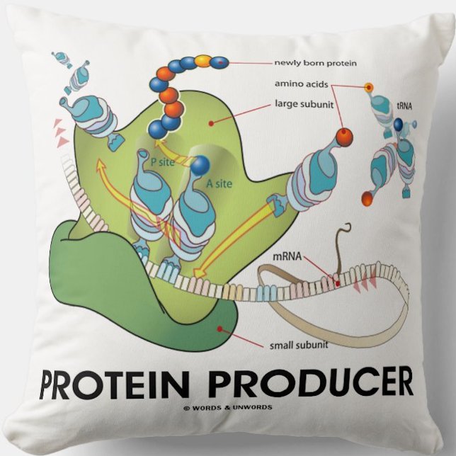 Coussin Synthèse de l'ARNt du Protéin du producteur (Molecular biology throw pillow for anyone who produces proteins - and that means you!)