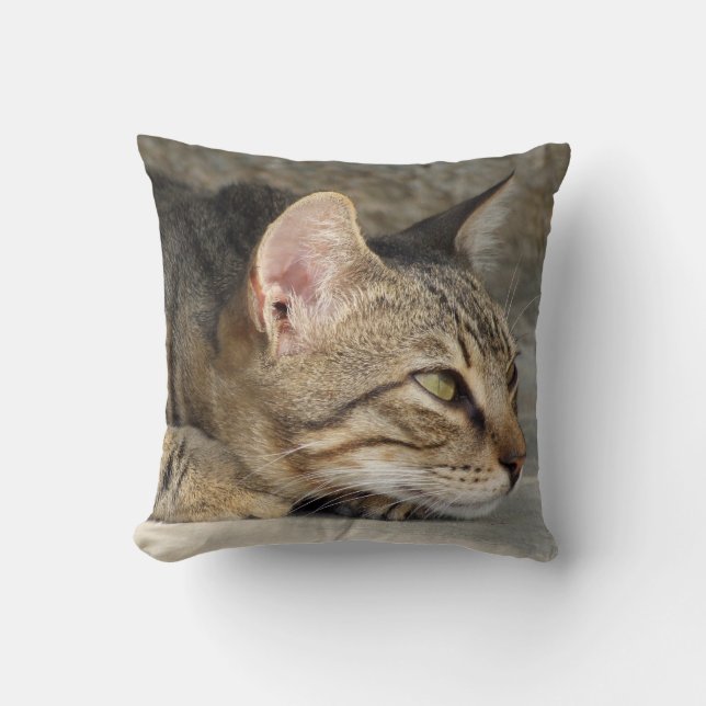 Coussin Tabby Cat (Recto)