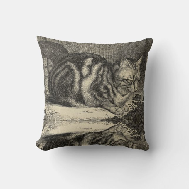 Coussin Tabby Chat vintage (Recto)
