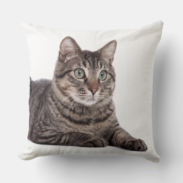 Coussin Tabby Gris (Recto)