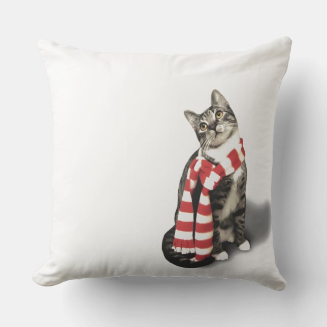 Coussin Tabby Gris Chat en écharpe rayée rouge et blanche (Recto)