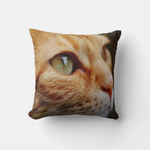 Coussin Tabby orange avec yeux verts personnalisés