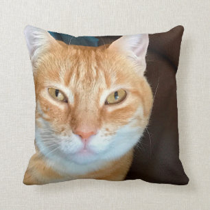 Coussin Taboureuse d'Orange