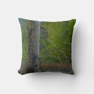 Coussin Tache De Rouge