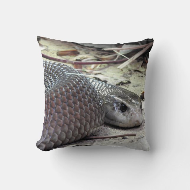 Coussin Taïpan côtier (Recto)