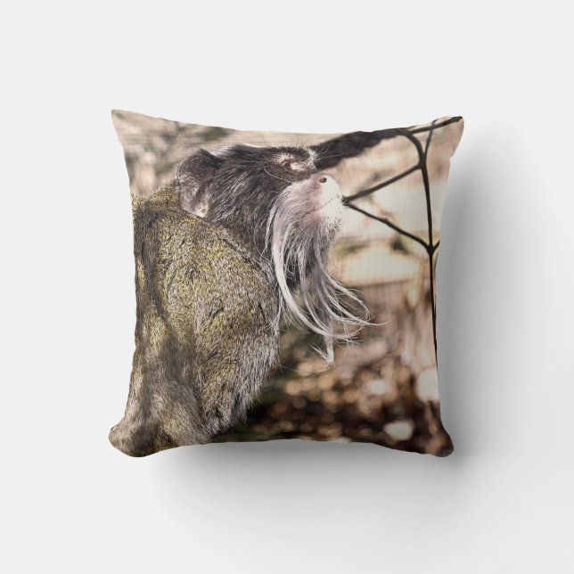 COUSSIN TAMARIN MONKEY (Recto)