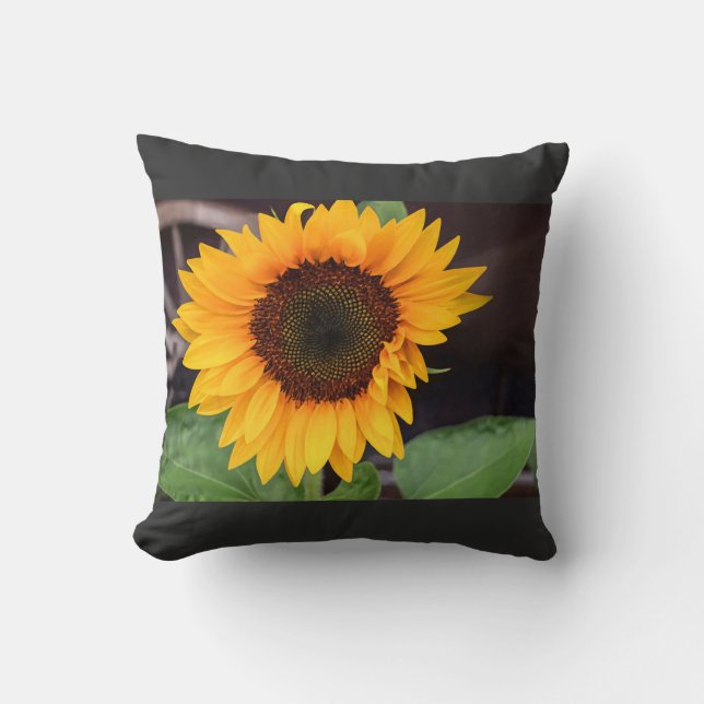 Coussin Tasse bicolore, 45 cl (Recto)
