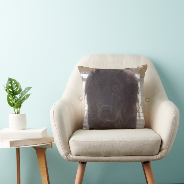 Coussin Tchiot Terre-Neuve Malpropre (Chaise)