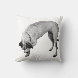 Coussin Tchiot-terrier Hush-and-Grin
