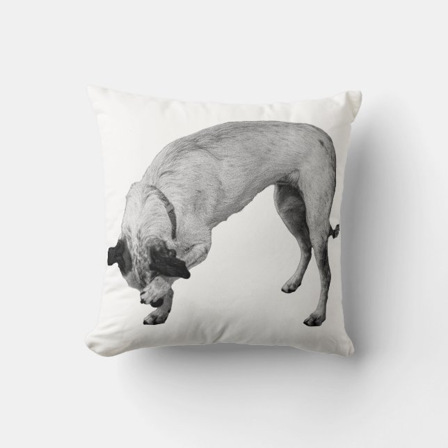 Coussin Tchiot-terrier Hush-and-Grin (Recto)