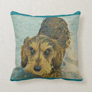 Coussin teckel à poils durs