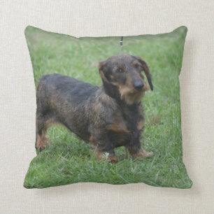 Coussin Teckel d'une chevelure de fil mignon