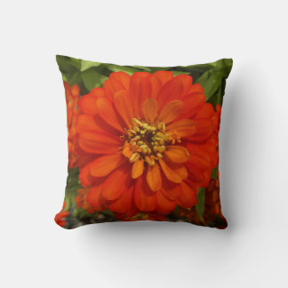 Coussin Tendance Zinnia Rouge Clair