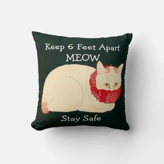 Coussin Tenue En Chat 6 Pieds Éparpillés (Recto)