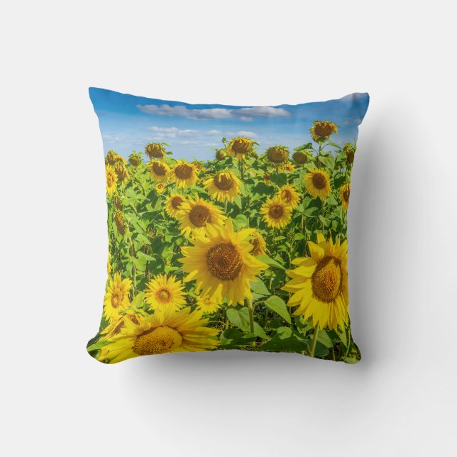 Coussin Terrain de tournesol, ensoleillé l'été. (Recto)