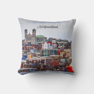 Coussin Terre-Neuve, paysage urbain