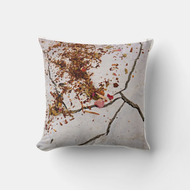 Coussin Terre Offrant Jeu d'oreiller (Recto)