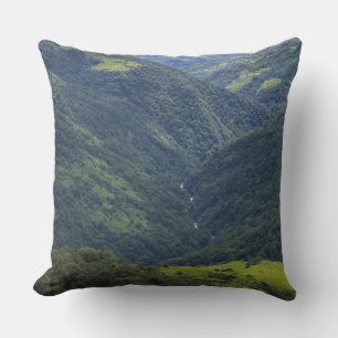 Coussin Terres agricoles et forêt de l'Himalaya dans la va
