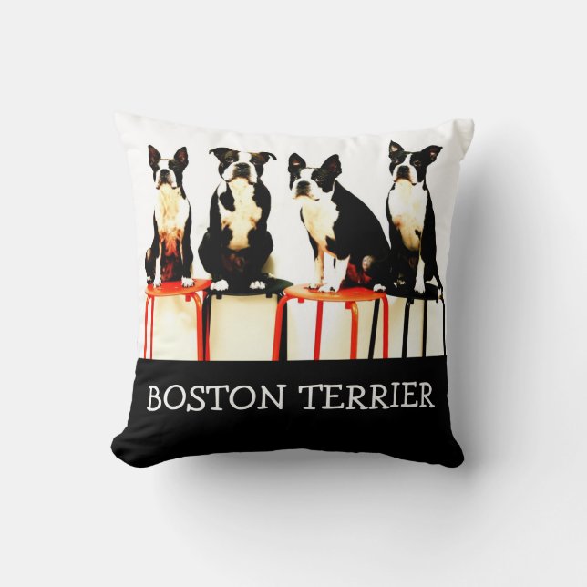 Coussin Terrier de Boston Ⅰ (Recto)