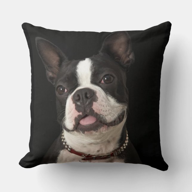 Coussin Terrier de sourire de Boston avec le collier (Recto)