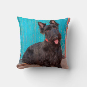 Coussin Térrier écossais assis près d'une porte colorée