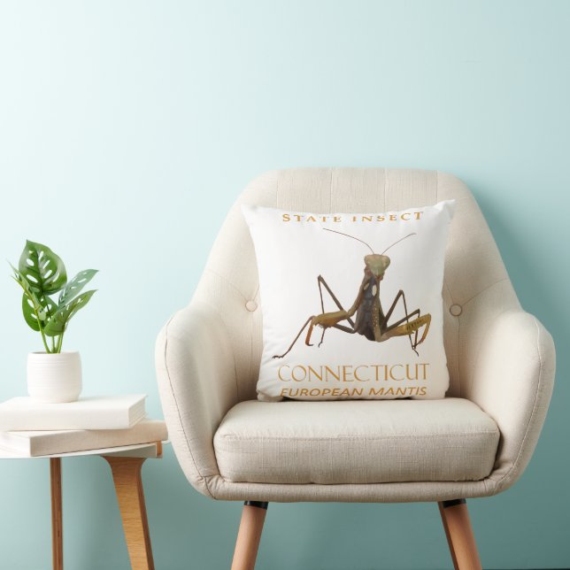 Coussin Territoire du Connecticut Insecte La Mante Europée (Chaise)