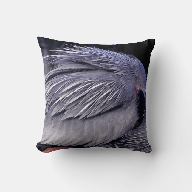 Coussin Territoire du Héron (Recto)