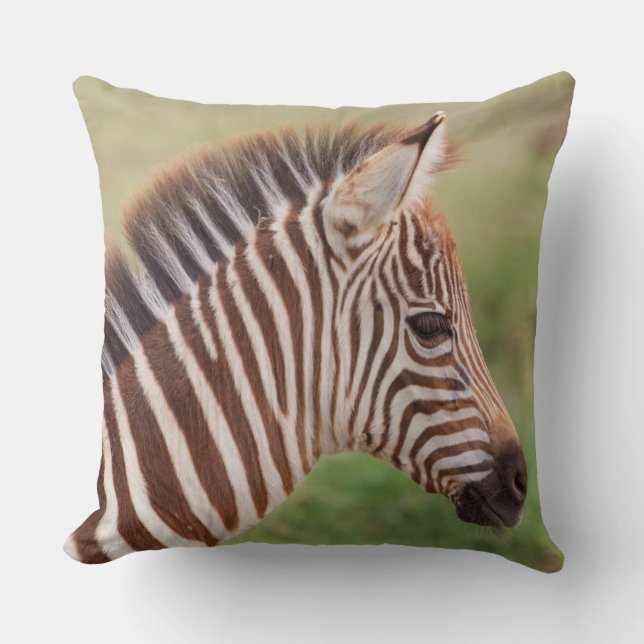 Coussin Tête de bébé zèbre, Tanzanie (Recto)