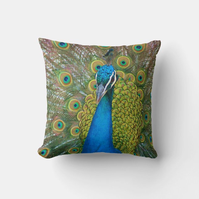 Coussin Tête de bleu de paon avec et plumes de queue (Recto)