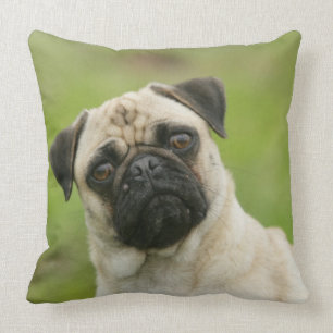 Coussin Tête de carlin entassée regardant l'appareil-pho