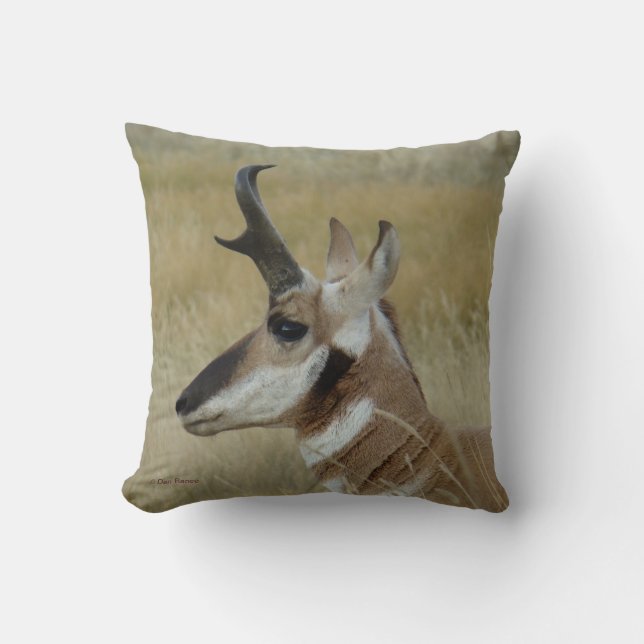 Coussin Tête de pronghorn profil vue de côté (Recto)
