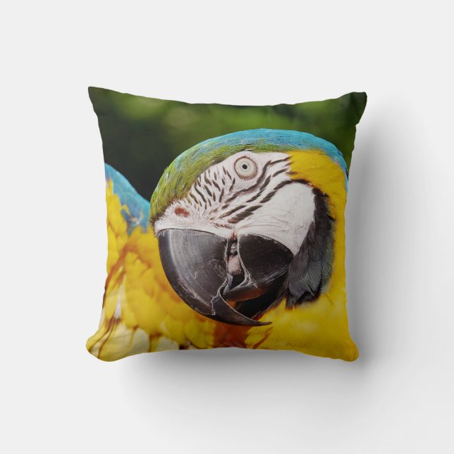 Coussin Tête d'un Macaw bleu et jaune (Recto)