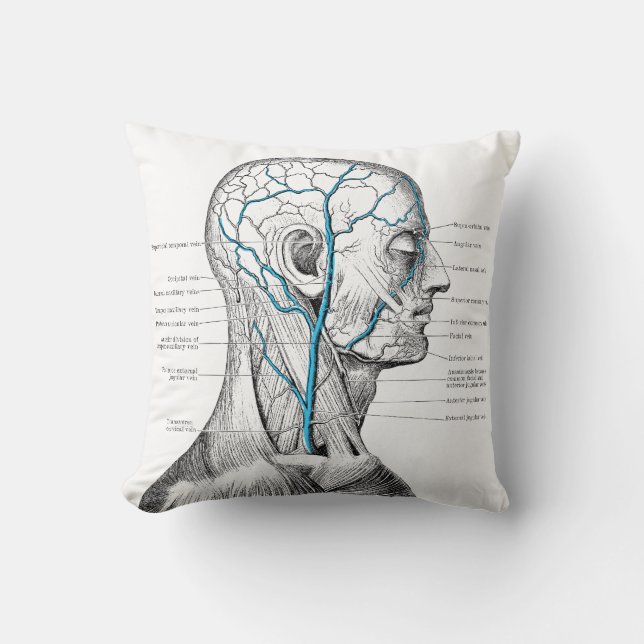 Coussin Tête et veines - anatomie (Recto)