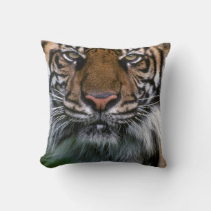 Coussin Tête et visage de tigre